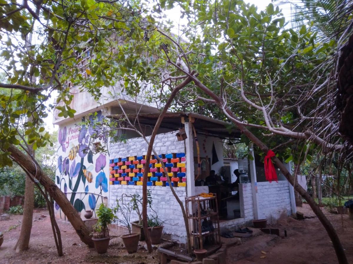 黎明之村 Peace Garden旅舍 外观 照片